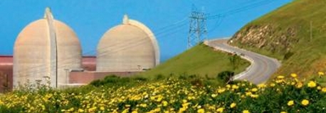 Flowers with a nuclear power plant in the background