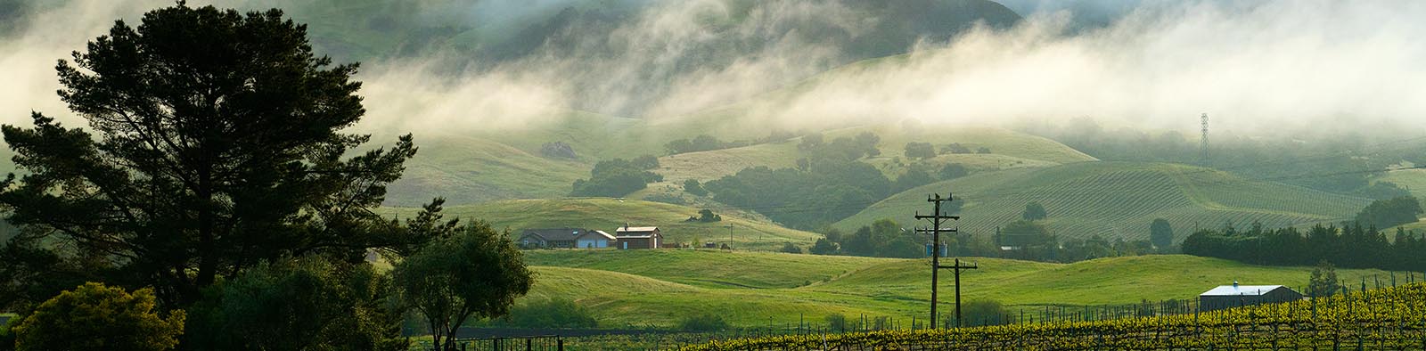 Green hills with smoke